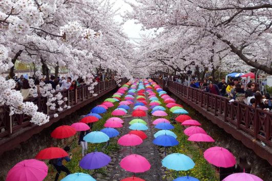 JINHAE GUNHANGJE TOUR