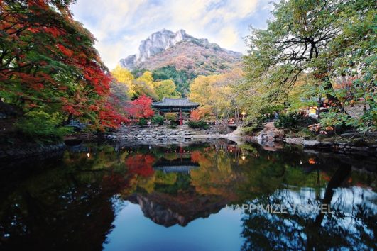 NAEJANGSAN MOUNTAIN TOUR