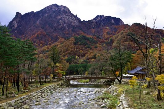 AUTUMN COLOR TOUR (5d)