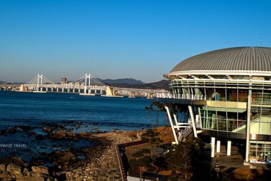 BUSAN SHORE EXCURSION